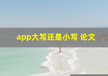 app大写还是小写 论文